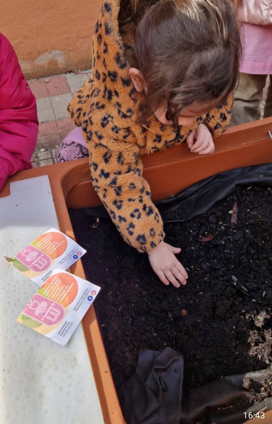 Bambina che mette il seme nella terra