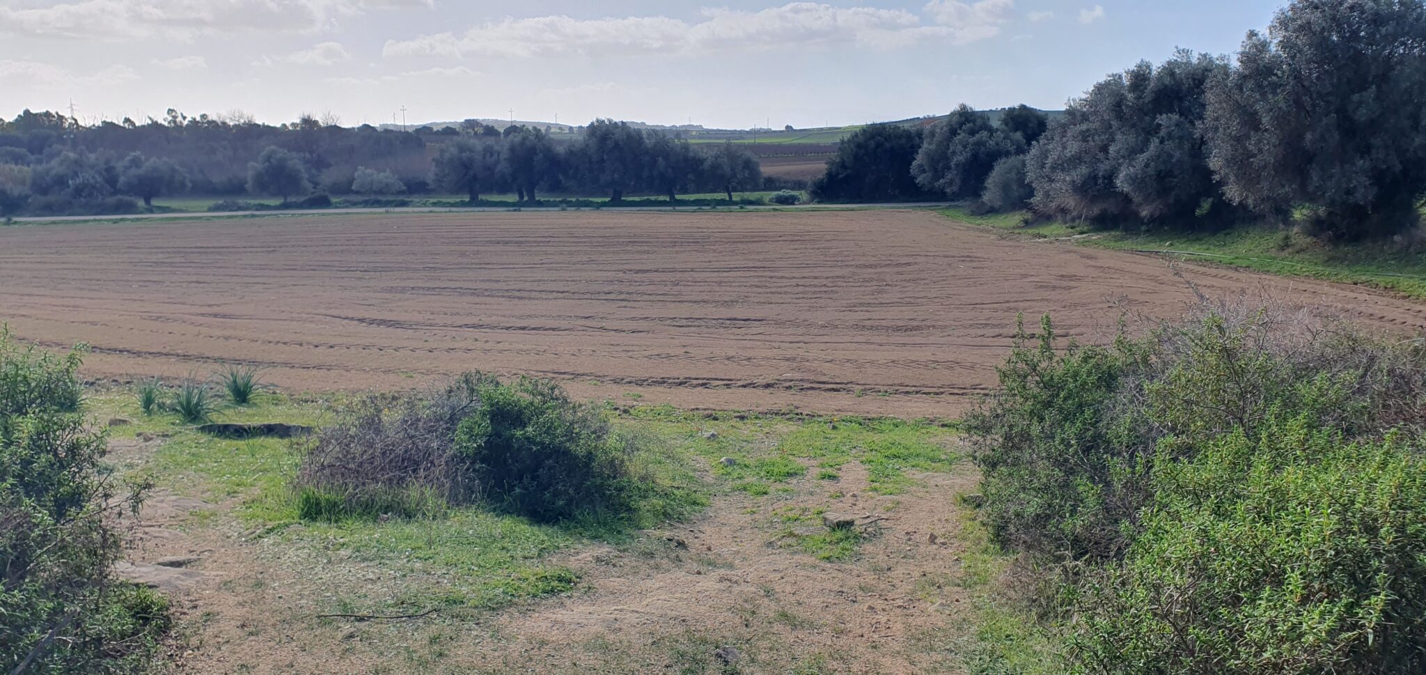 Il terreno prima della trasformazione in parco