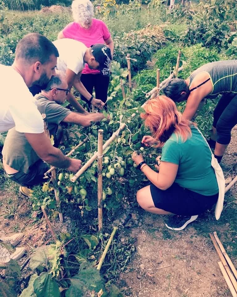 Persone al lavoro nell'Orto Terapeutico di Lu