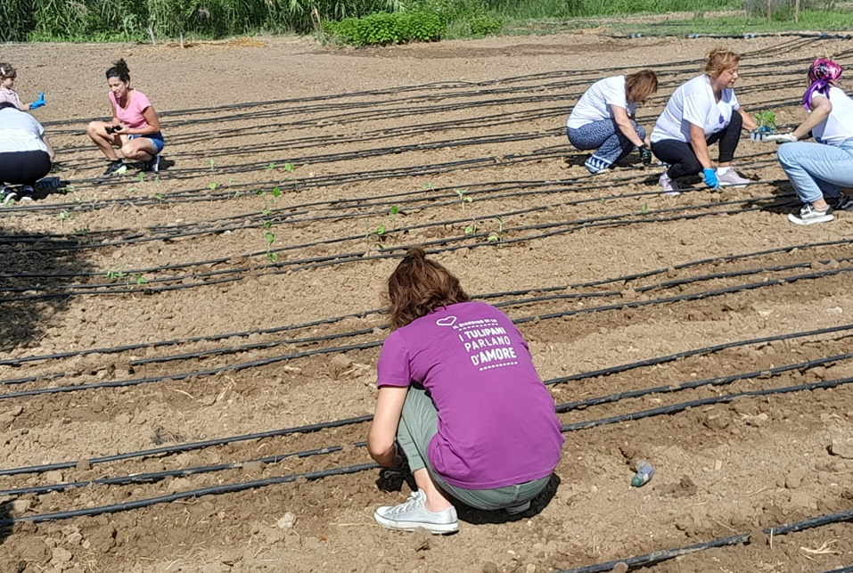 Volontarie del Giardino di Lu che piantano nell'orto
