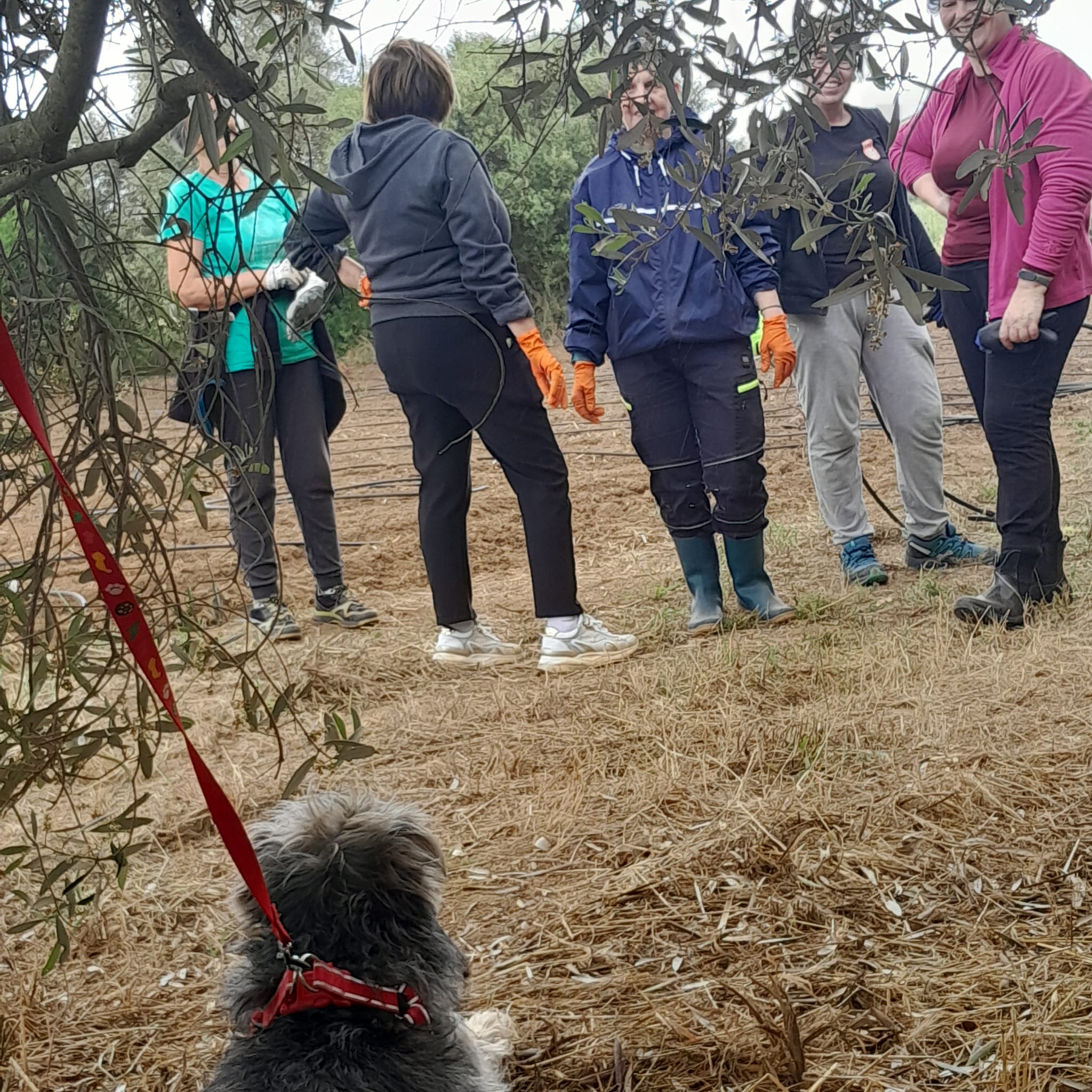 Volontari del Giardino di Lu
